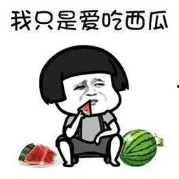 娱乐吃瓜酱是谁教你们,娱乐吃瓜酱背后的神秘导师